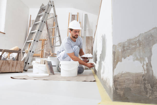  , USA Dry wall and painting Pros